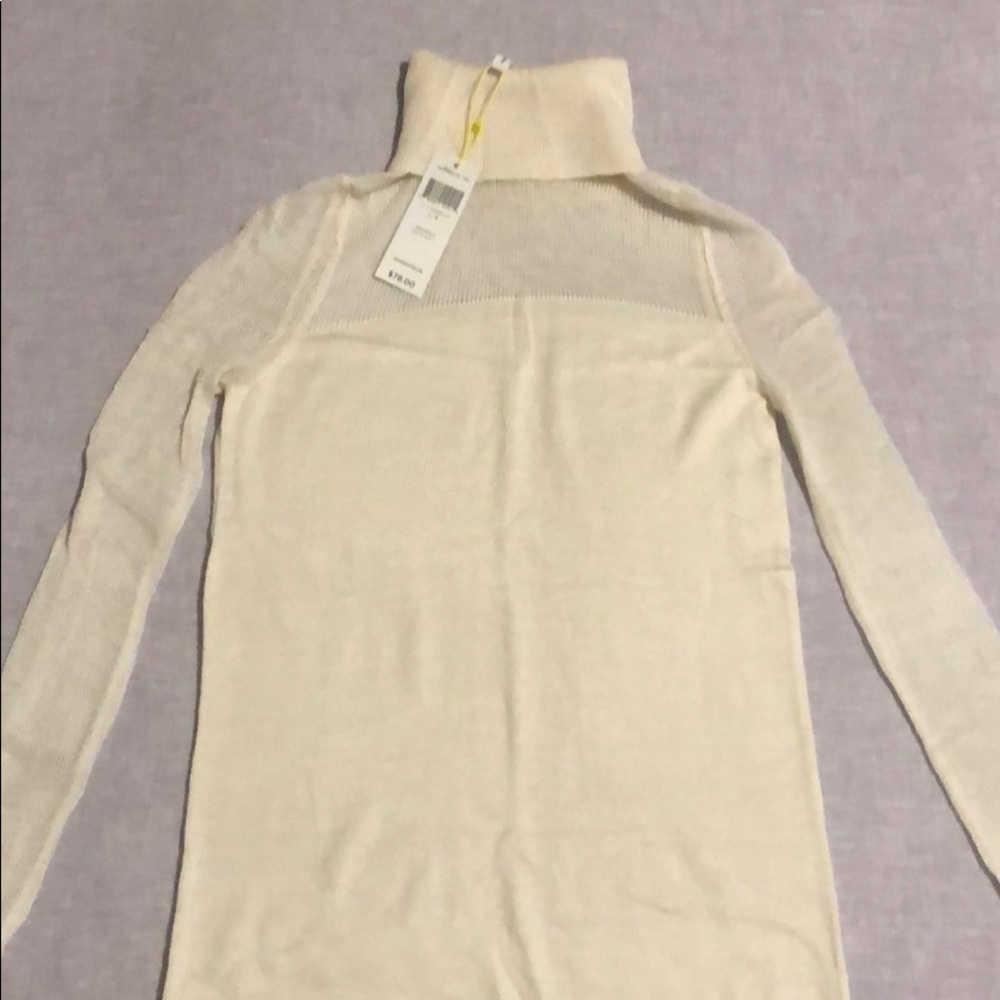 BCBG Knit Turtleneck